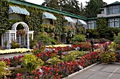 BUTCHART GARDENS, THE ITALIAN GARDEN IN AUTUMN