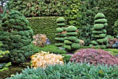 BUTCHART GARDENS, THE JAPANESE GARDEN IN AUTUMN