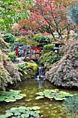 BUTCHART GARDENS, THE JAPANESE GARDEN IN AUTUMN