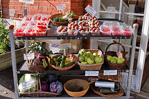 GARDEN_VEGETABLES_FOR_SALE_AT_BURTON_AGNES_HALL