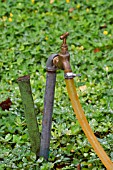 BRASS TAP AND GARDEN HOSE WITH LEAKING CONNECTION