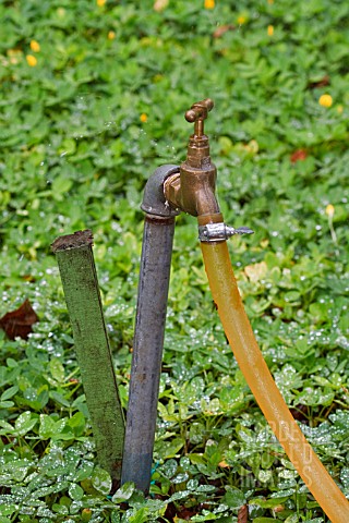 BRASS_TAP_AND_GARDEN_HOSE_WITH_LEAKING_CONNECTION