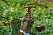 LEAKING BRASS GARDEN TAP