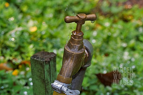 LEAKING_BRASS_GARDEN_TAP