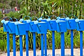 COLOURFUL SCULPTURE OF BLUE WATERING CANS
