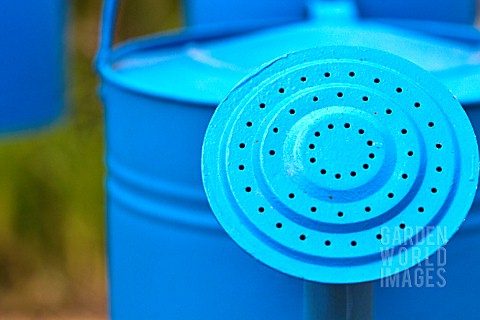 NOZZLE_OF_A_BLUE_WATERING_CAN