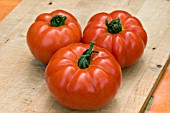 TOMATO MARMANDE (BEEFSTEAK)