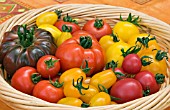 BOWL OF TOMATOES (ALL NAMED)