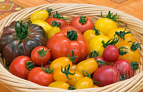 BOWL_OF_TOMATOES_ALL_NAMED