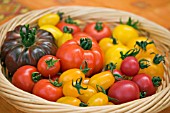 BASKET OF TOMATOES