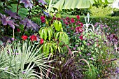 EXOTIC SUMMER BORDER AT GREAT DIXTER