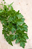 PARSLEY FRENCH