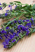 BLUE HYSSOP ON WOODEN BOARD