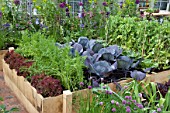 MIXED VEGETABLE RAISED BED