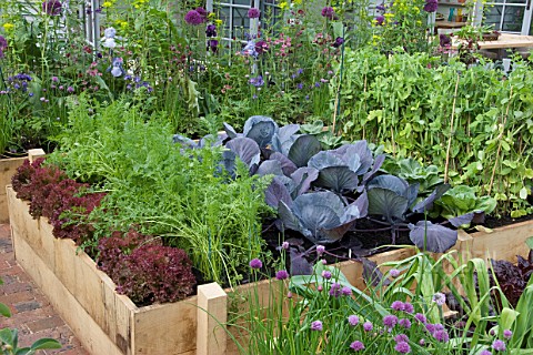 MIXED_VEGETABLE_RAISED_BED