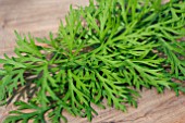 CARAWAY ON A CHOPPING BOARD