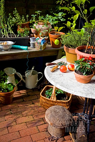VEGETABLE_AND_HERB_GARDEN_ON_BALCONY_IN_CENTRAL_LONDON