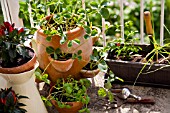 CITY BALCONY WITH STRAWBERRY PLANT AND VARIOUS VEGATABLES GROWING IN POTS AND WINDOW BOX