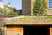 LITTLE GREEN ROOF AT THE CHELSEA PHYSIC GARDEN