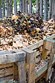 RECYCLED PALLETS USED AS CONTAINER WALLS FOR FALLEN LEAVES AND GARDEN WASTE