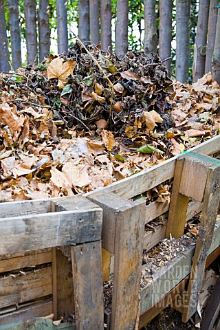 RECYCLED_PALLETS_USED_AS_CONTAINER_WALLS_FOR_FALLEN_LEAVES_AND_GARDEN_WASTE