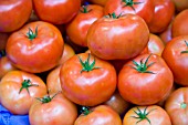 ORGANIC BEEF TOMATOES