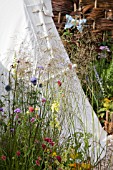 CHILDRENS TENT IN THE LITERACY GARDEN, CHALLOCK PRIMARY SCHOOL, HAMPTON COURT PALACE FLOWER SHOW 2008, DESIGN BY FRANZISCA HARMAN, AWARDED SILVER GILT