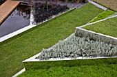 RAISED BORDERS AT CONVERGENCE OF THE ELEMENTS GARDEN, THE DOWN TO EARTH PARTNERS, DESIGNED BY MATTHEW RIDEOUT, AWARDED SILVER