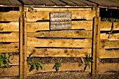 ORGANIC KITCHEN WASTE CONTAINER BUILT FROM RECYCLED PALLETS