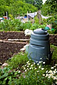 ORGANIC WASTE COMPOST BIN IN LONDON ALLOTMENT