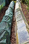 BARN CLOCHES AND NETTING