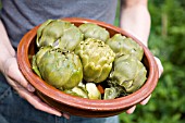 ARTICHOKES IN EARTHENWARE BOWL