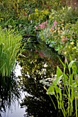 THE WORLD OF WATER GARDEN, HAMPTON COURT PALACE FLOWER SHOW 2008, DESIGNED BY PETE SIMS