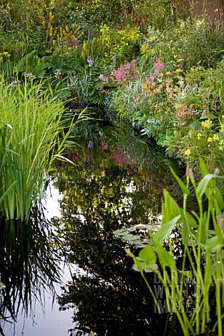 THE_WORLD_OF_WATER_GARDEN_HAMPTON_COURT_PALACE_FLOWER_SHOW_2008_DESIGNED_BY_PETE_SIMS