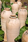 RHUBARB FORCING POT