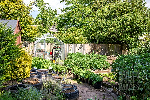 VEGETABLE_GARDEN_AND_GREENHOUSE
