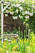 COTTAGE GARDEN SEATING AREA UNDER A TRELLIS ARCH