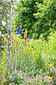 MIXED COTTAGE BORDER WITH TRELLIS