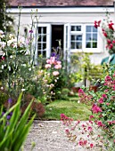 COTTAGE GARDEN PLANTING