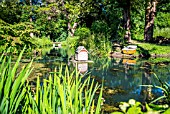 BOATING LAKE IN SUMMER