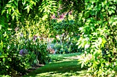 A GRASS PATH LINED WITH HERBACEOUS BORDERS