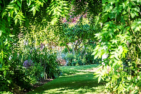 A_GRASS_PATH_LINED_WITH_HERBACEOUS_BORDERS