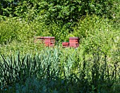 WOODEN BEEHIVES