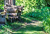 A MOWED PATH IN NATURAL GARDEN