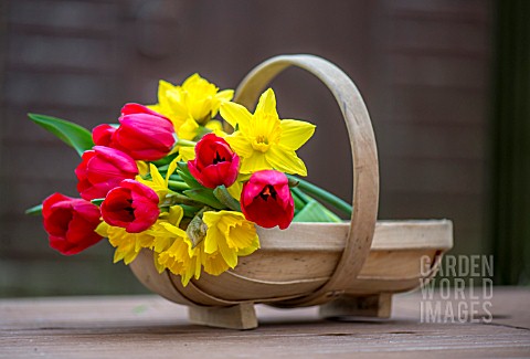 TULIPS_AND_NARCISSUS_IN_TRUG