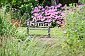 RUSTIC WOODEN BENCH BY A LAKE