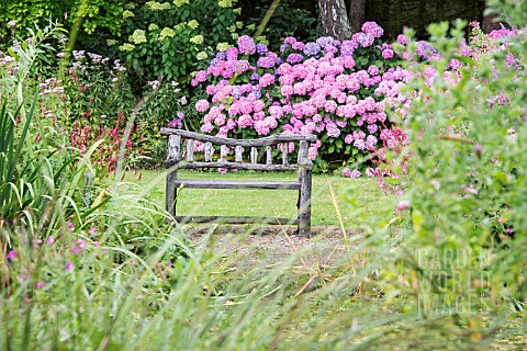 RUSTIC_WOODEN_BENCH_BY_A_LAKE