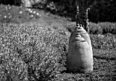 TRADITIONAL TERRACOTTA FORCING JARS