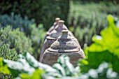 TRADITIONAL TERRACOTTA FORCING JARS