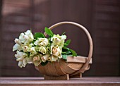 CUT ROSES IN A TRUG